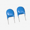 Ceramic Capacitor (493)