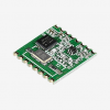 Wireless Modules (81)